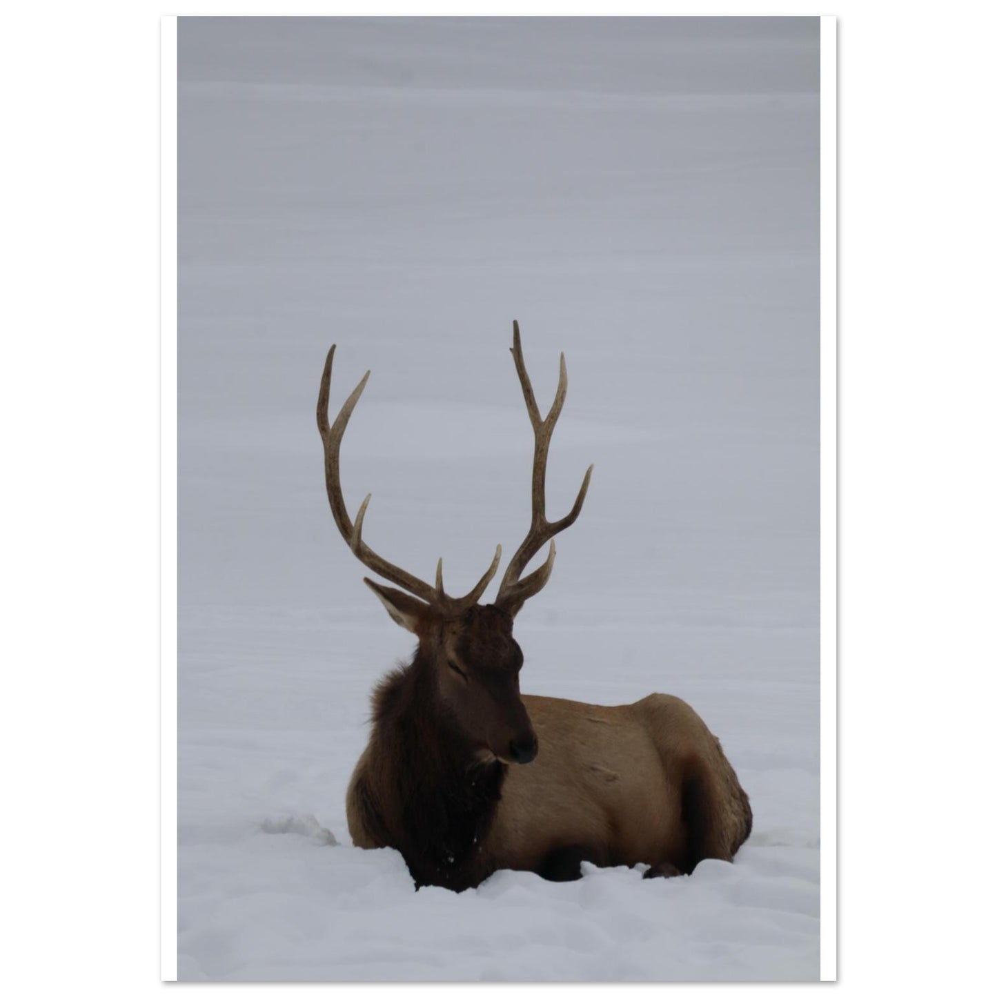 7694b16e-d99f-43ed-915b-8106a693a72c