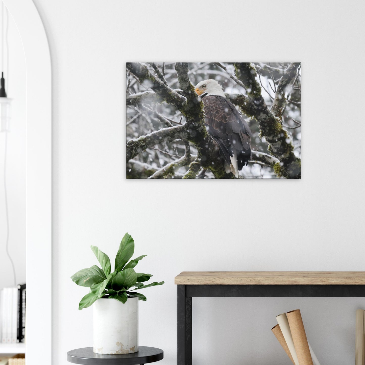 76bdfcfd-31ba-40c4-a1aa-eaeefa6f2993