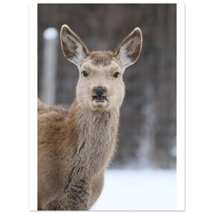 76ea40ab-809c-41f0-86bd-823dd0a01085