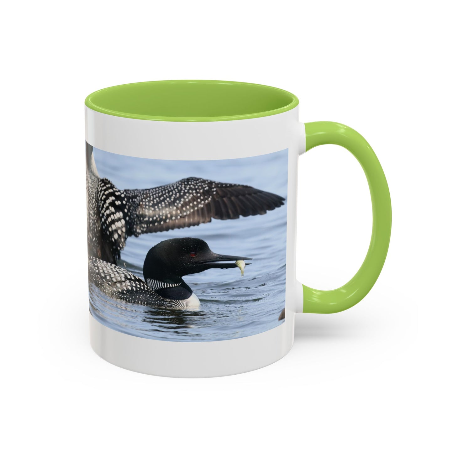 Common Loon Accent Coffee Mug – Wildlife Photography Bird Lover Gift (11/15oz)