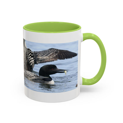 Common Loon Accent Coffee Mug – Wildlife Photography Bird Lover Gift (11/15oz)