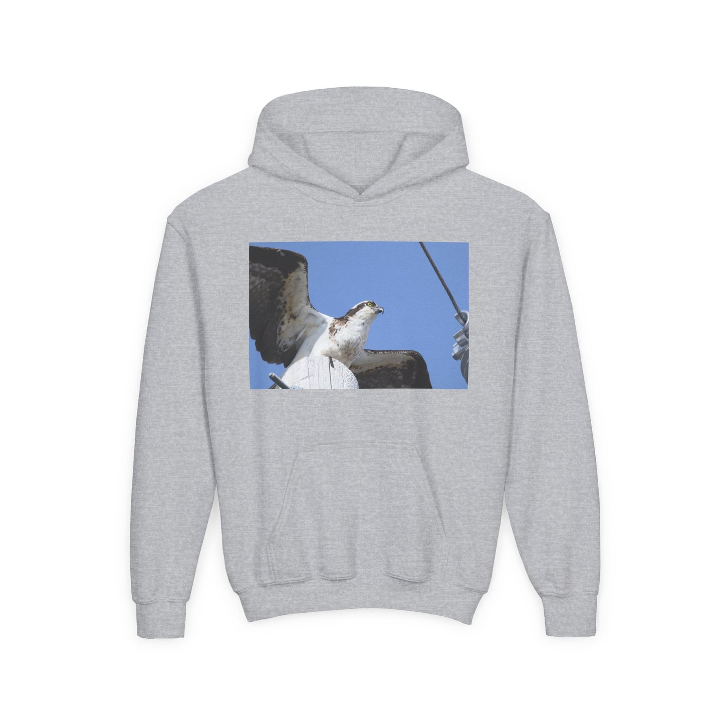 Youth Osprey Photo Hoodie — Kids Birdwatching Nature Pullover