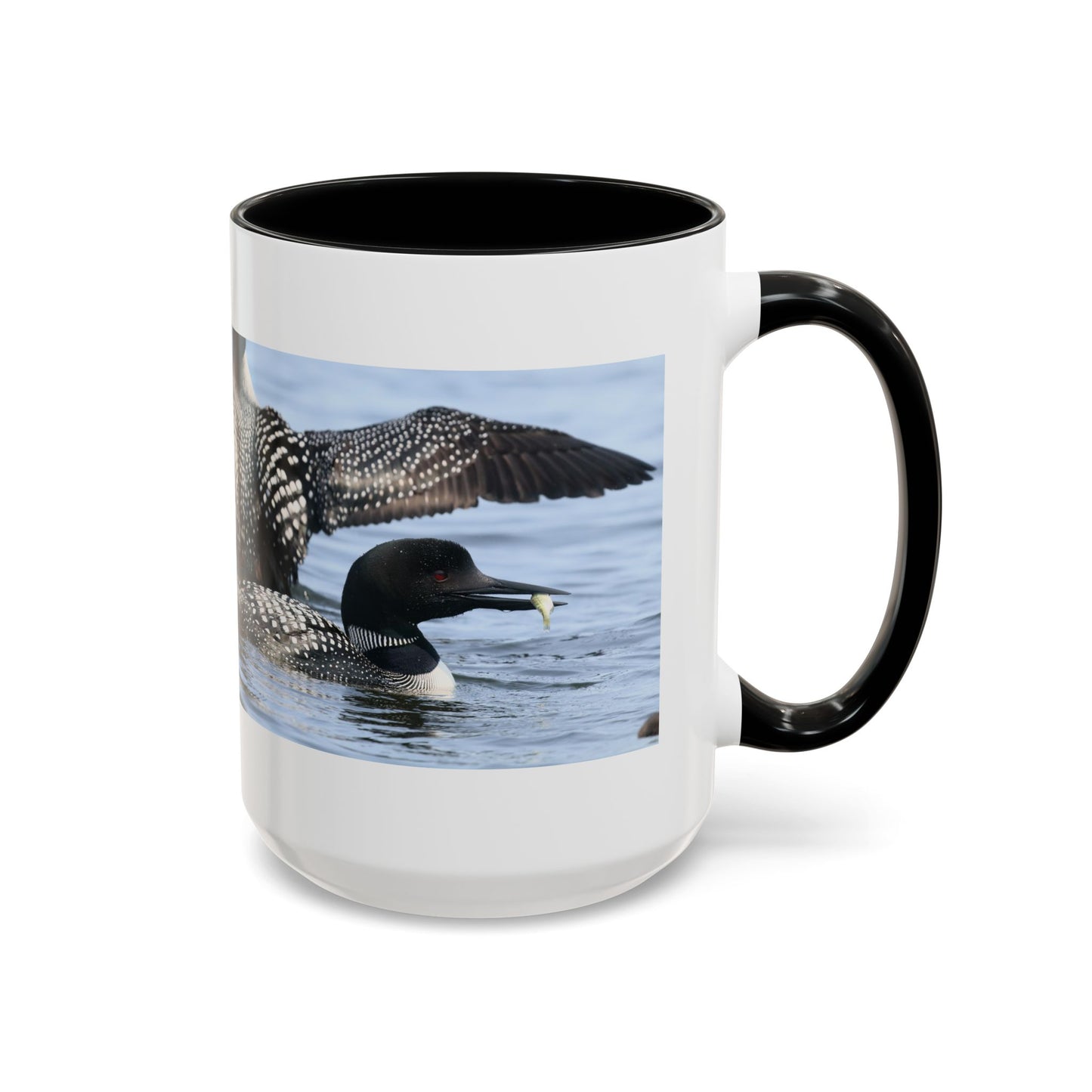 Common Loon Accent Coffee Mug – Wildlife Photography Bird Lover Gift (11/15oz)