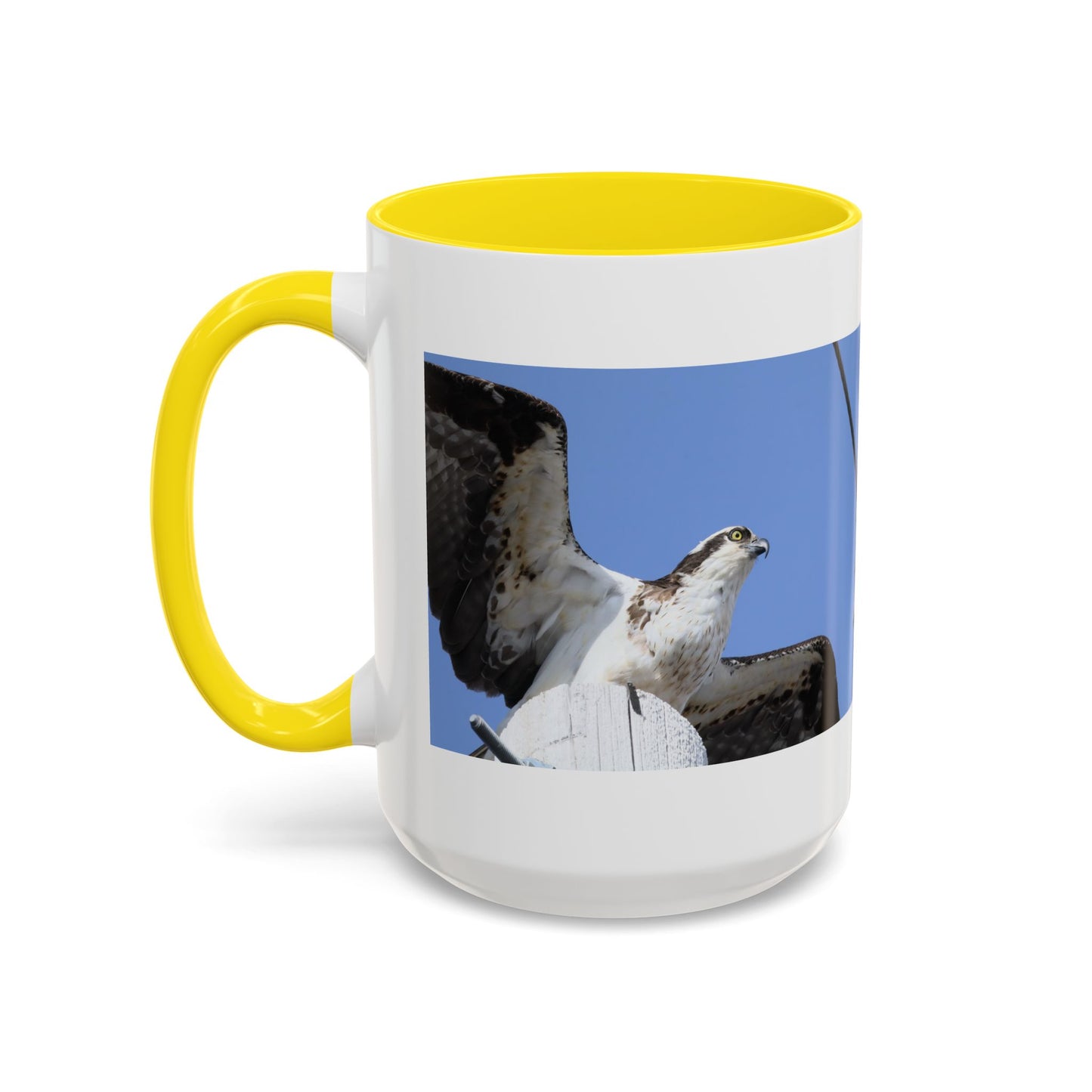 Osprey Photo Accent Coffee Mug – Wildlife Bird Photography Drinkware (11/15 oz)