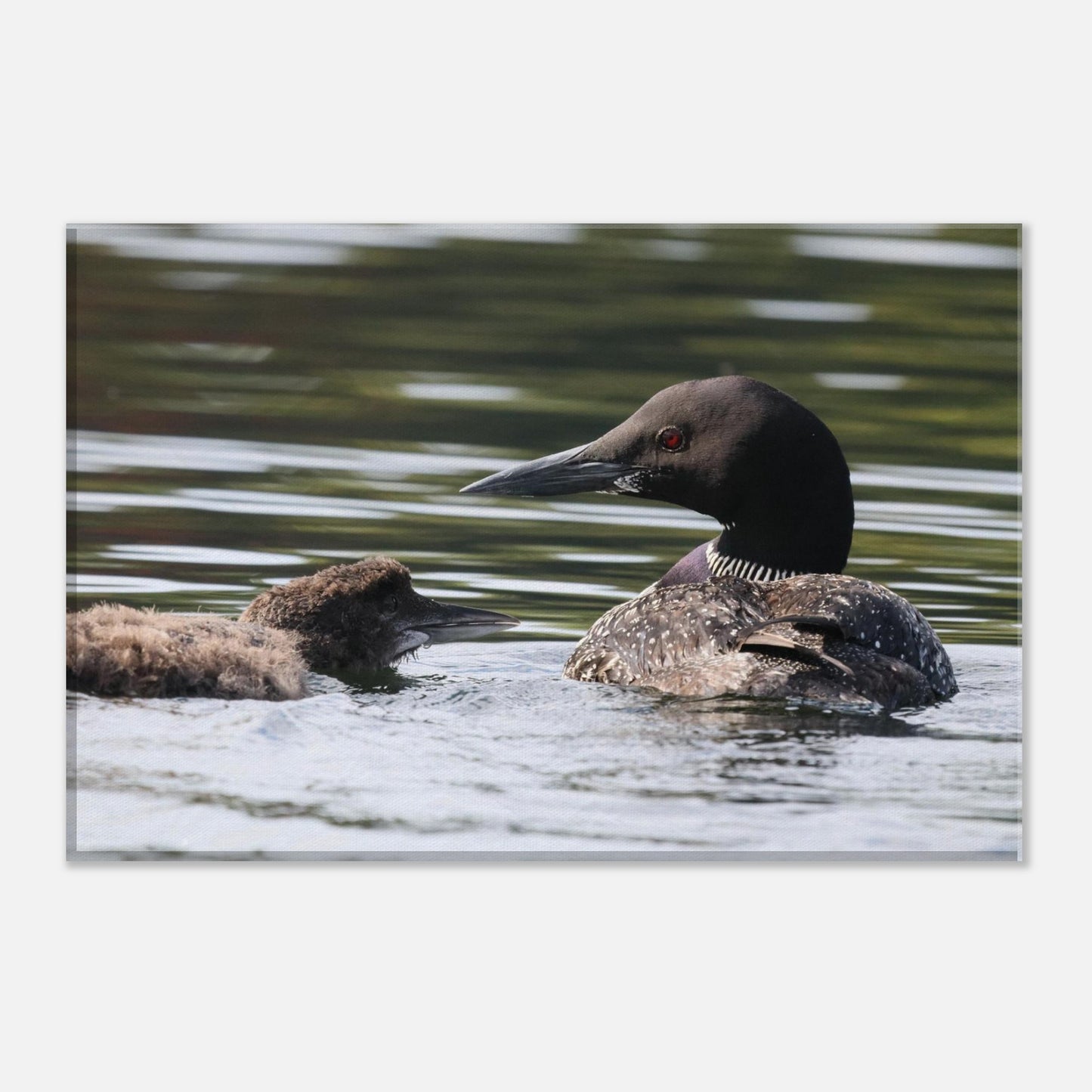 7711d202-82d7-4e09-9f06-9dcbde63f29b