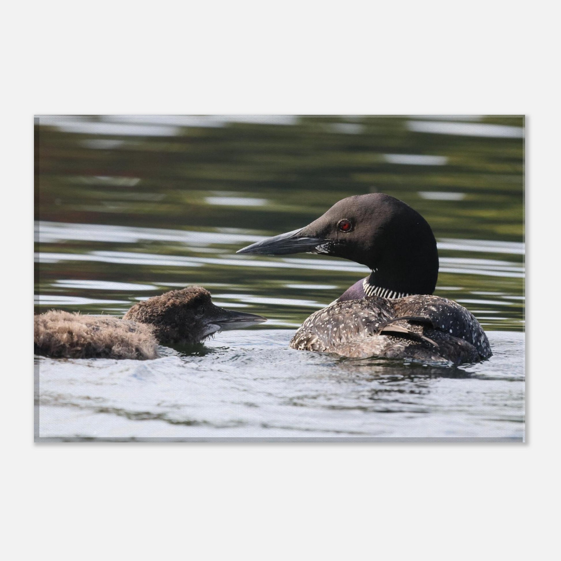 7711d202-82d7-4e09-9f06-9dcbde63f29b