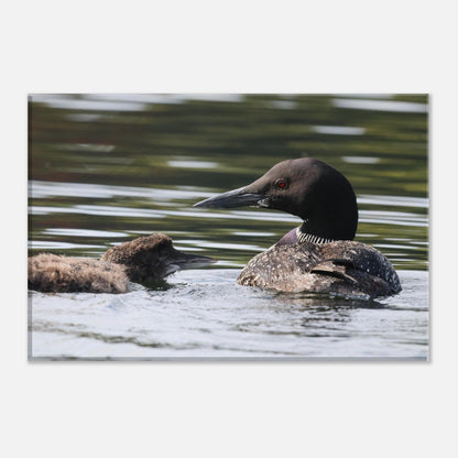 7711d202-82d7-4e09-9f06-9dcbde63f29b