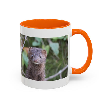 Cute Mink Photo Accent Mug – Wildlife Photography Coffee Cup (11/15 oz)