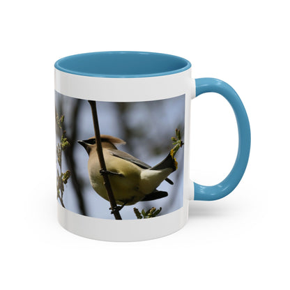 Cedar Waxwing Bird Photo Accent Coffee Mug