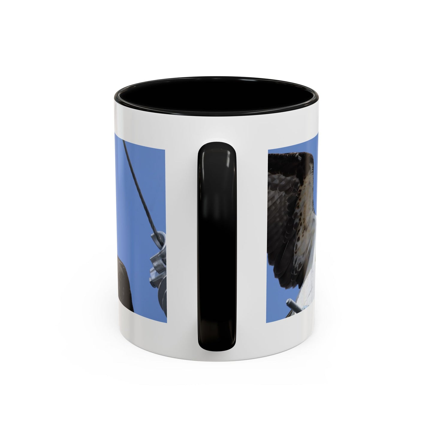 Osprey Photo Accent Coffee Mug – Wildlife Bird Photography Drinkware (11/15 oz)