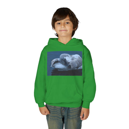 Youth Hoodie with Sleeping Swan Photo — Cozy Wildlife Sweatshirt