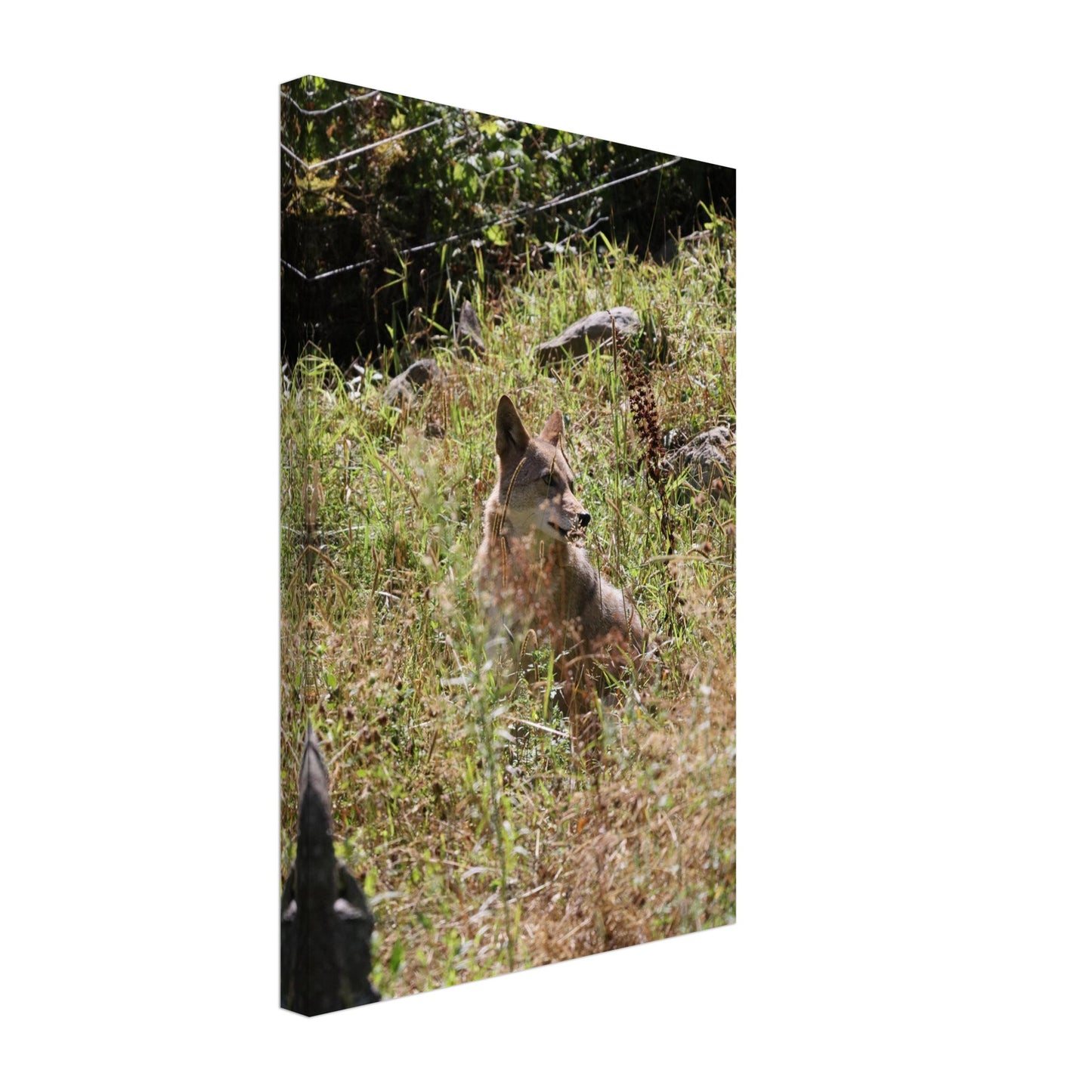 77f49044-98c8-4085-b901-48dc0fea4e64