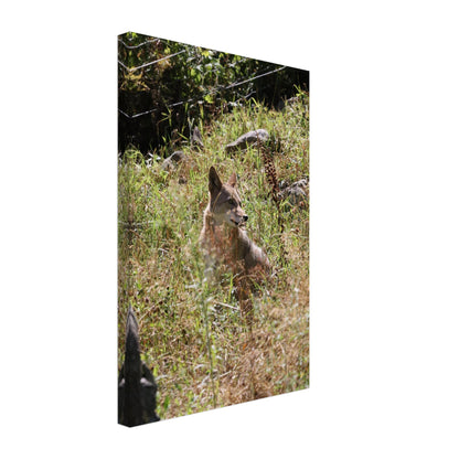 77f49044-98c8-4085-b901-48dc0fea4e64