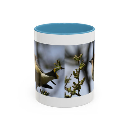 Cedar Waxwing Bird Photo Accent Coffee Mug