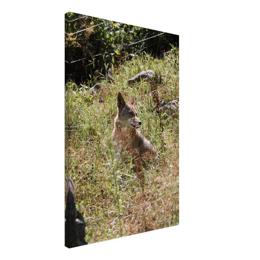 781d56fe-9ae7-4341-98f4-3e49dcd60031