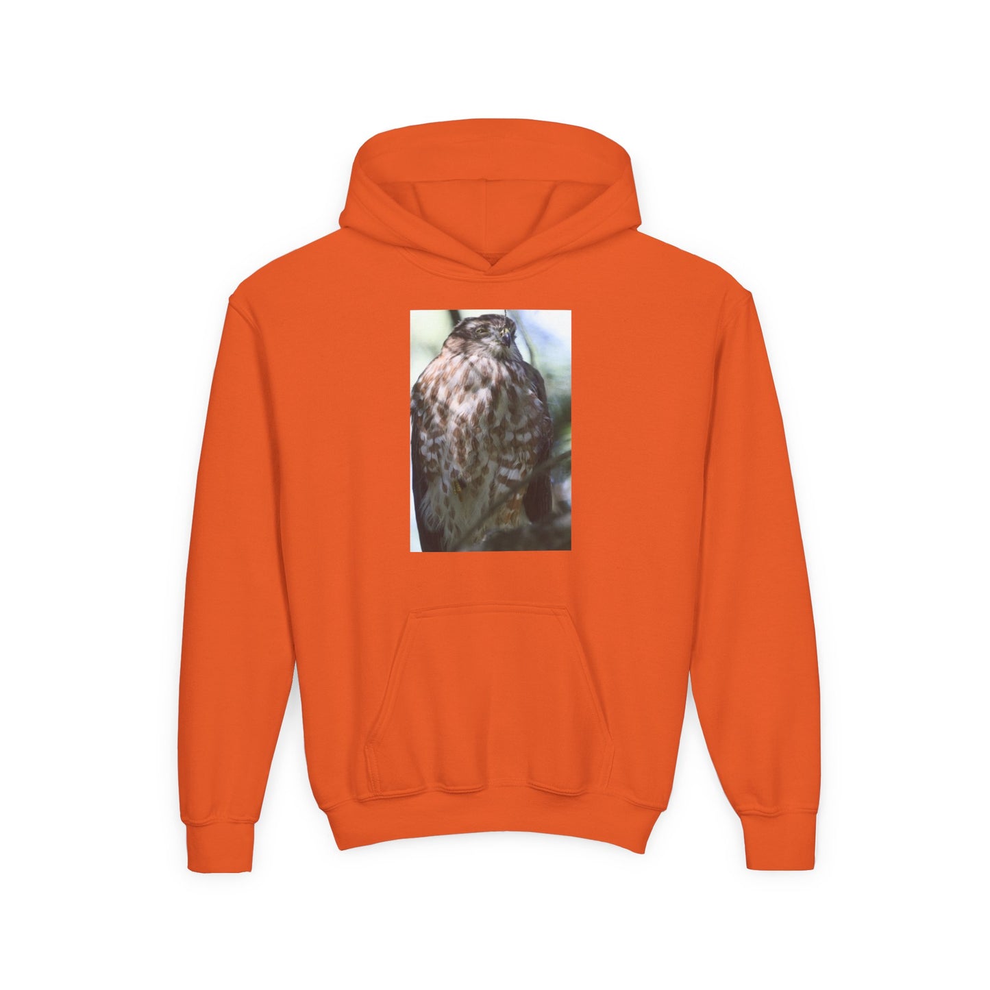 Youth Owl Hoodie – Photoreal Hawk Owl Print Kids' Hooded Sweatshirt