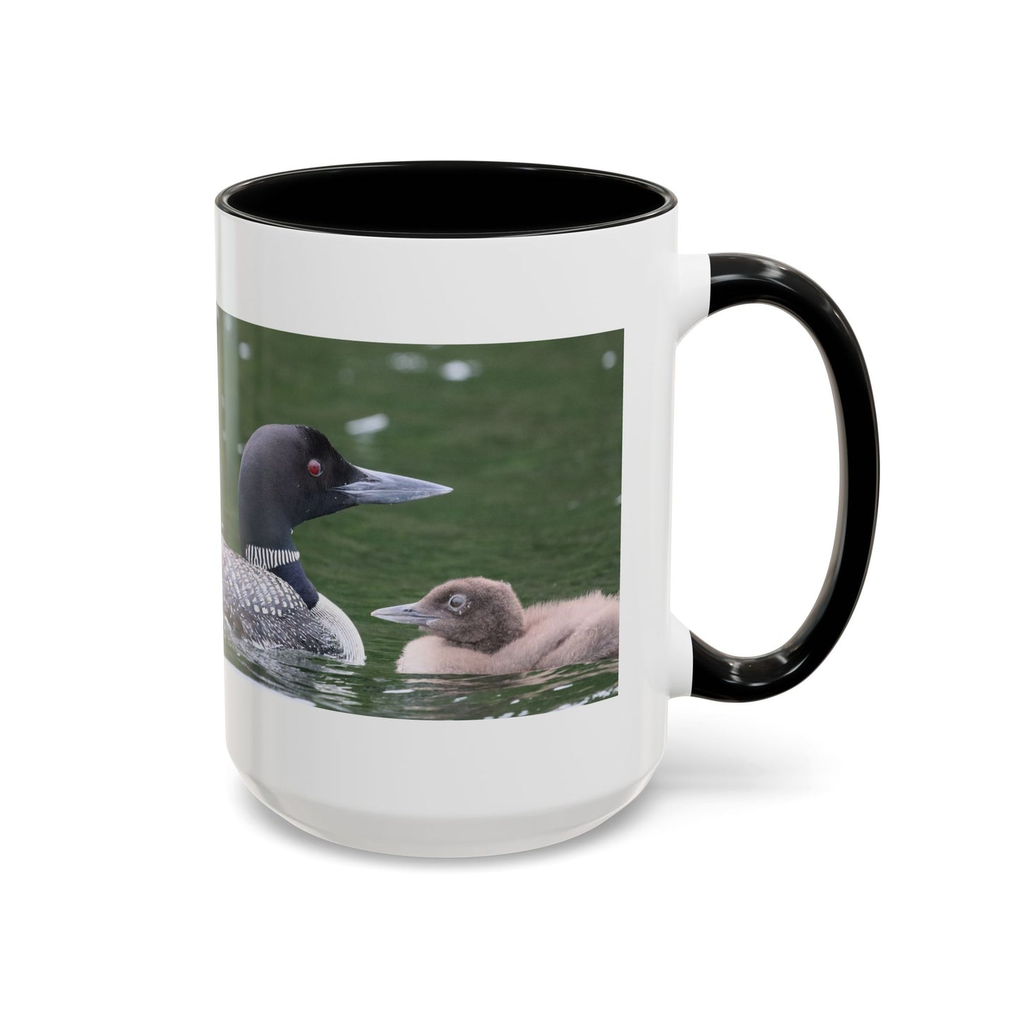 Loon Family Accent Coffee Mug – Wildlife Photo Tea Mug (11/15 oz)