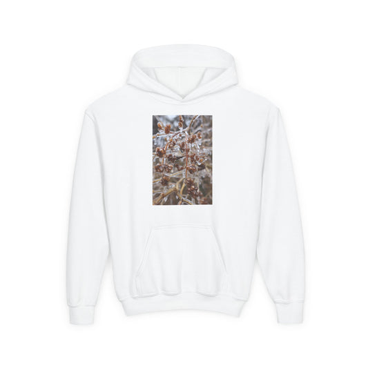 Youth Hoodie — Frosted Winter Berries Photo Print