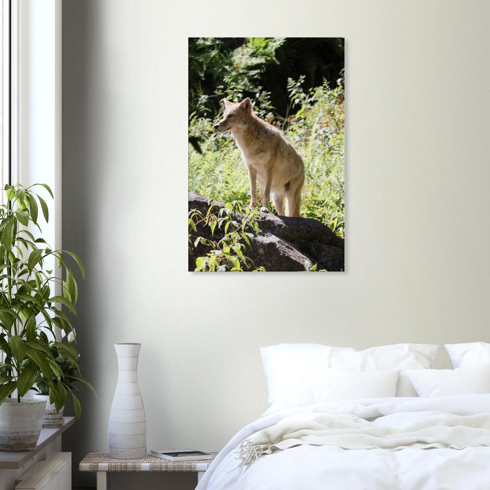 78ed7ff4-9476-4a90-845b-3dd978aaa236