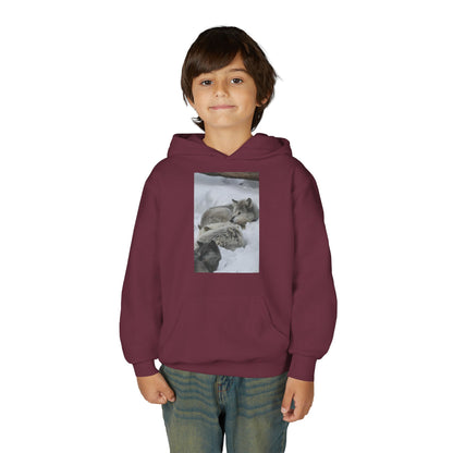 Sleeping Foxes Youth Hoodie | Wildlife Photography, Snow Scene