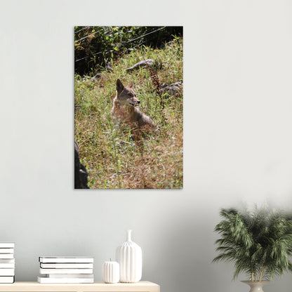 7921ed9a-6ac2-46e1-ab73-1fa2ecce88a2