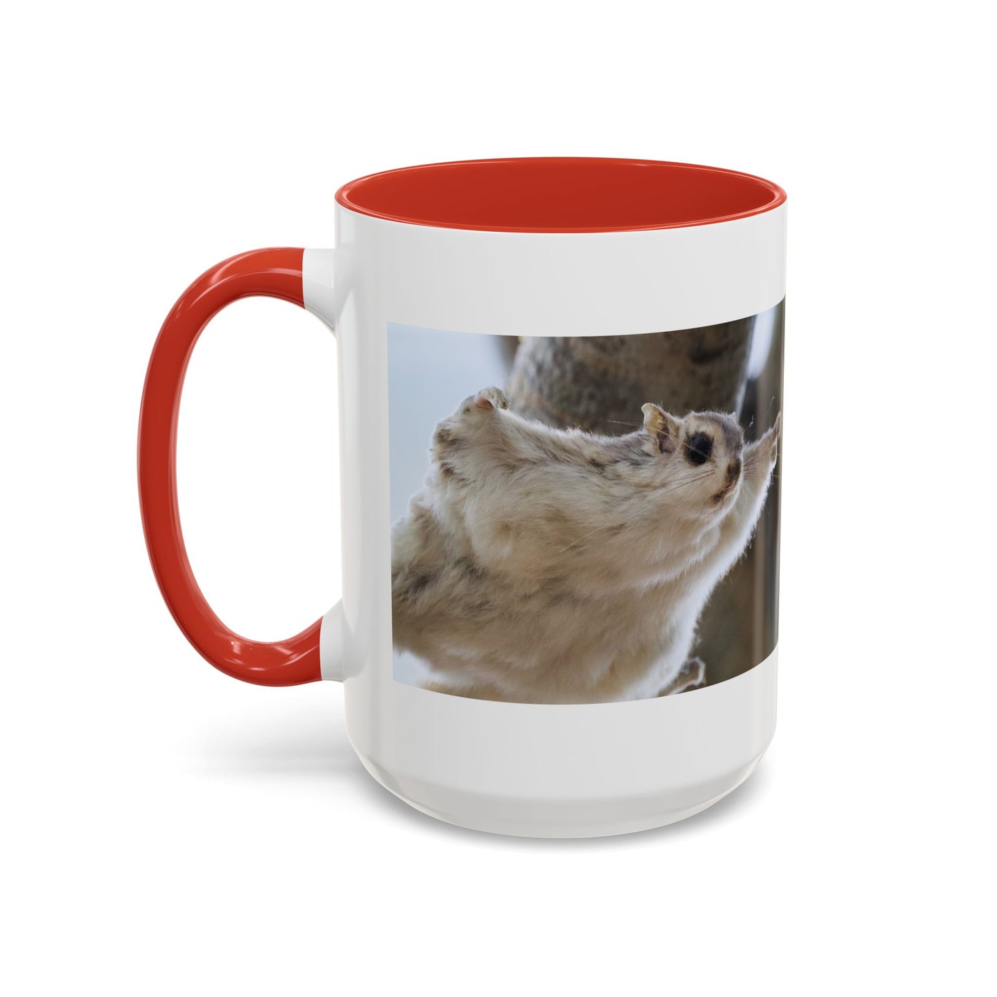 Flying Squirrel Accent Coffee Mug — Cute Wildlife Photo Mug (11/15oz)