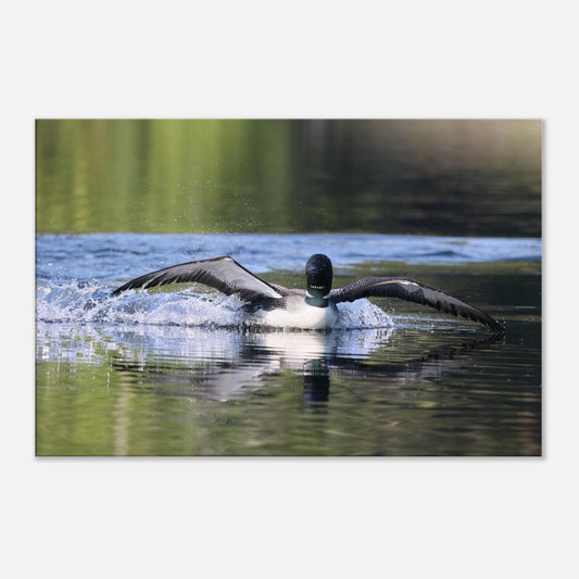 794952b7-2913-4a4d-98d4-1197409d273a