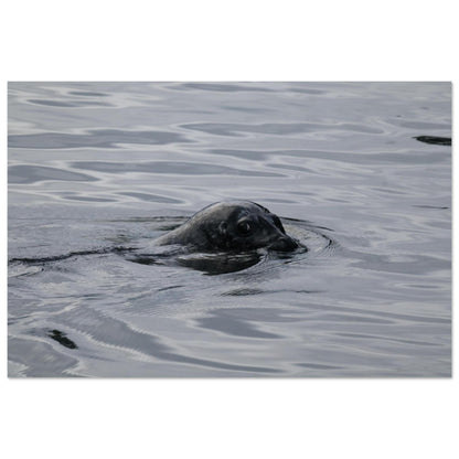 79d6fec5-31aa-446e-8c8a-db290afdb3a2