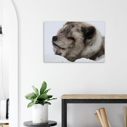 79de3ce5-460a-4515-b92d-ffff9477b5b3