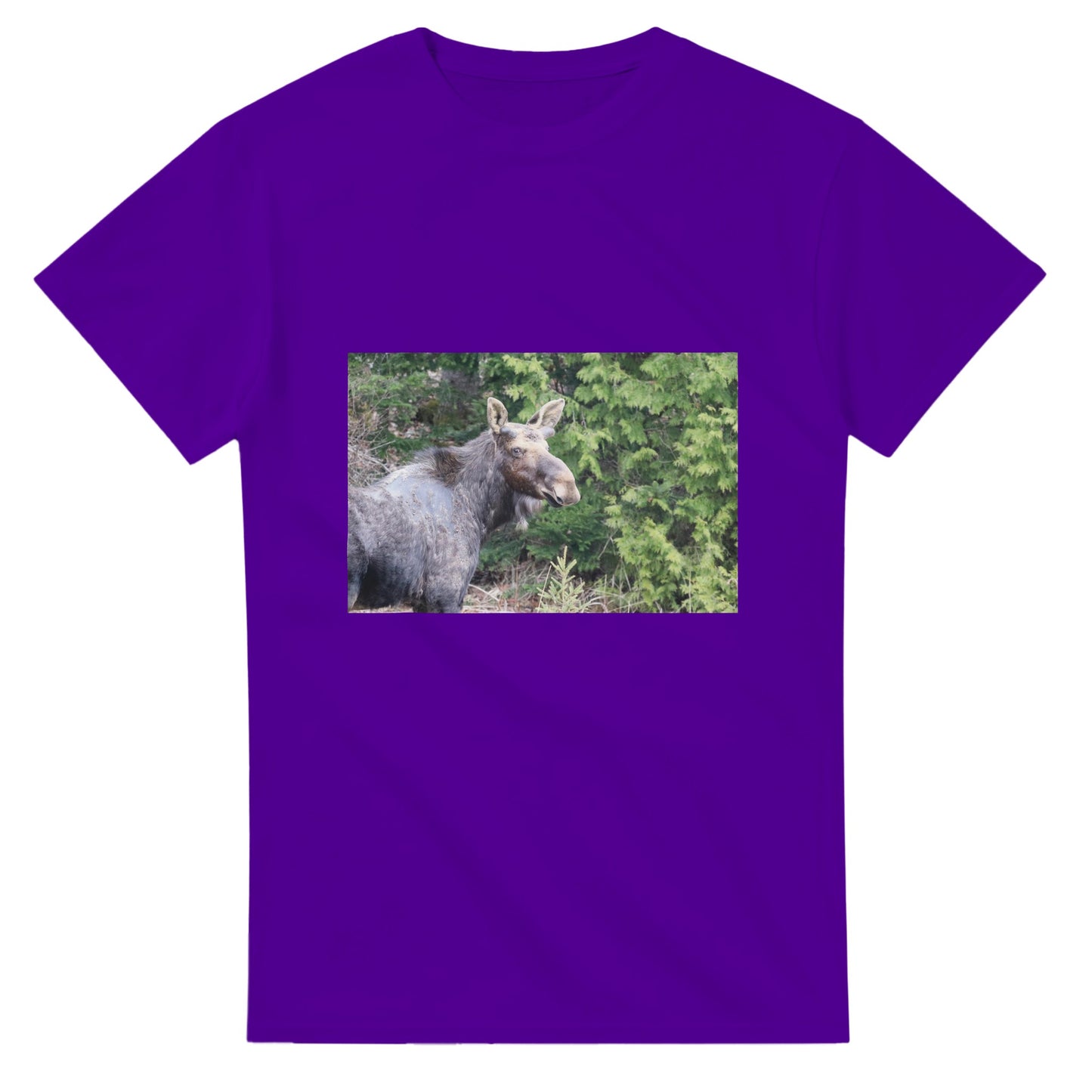 7a45208c-d964-48da-8f41-d3cb3da0449d