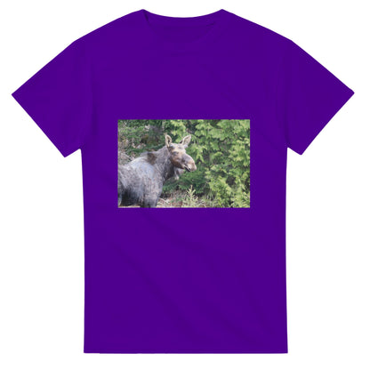 7a45208c-d964-48da-8f41-d3cb3da0449d