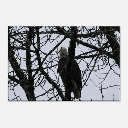 7abe3a88-58e7-40e3-8368-0c9c06b0b832