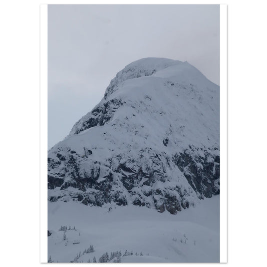 7b040c71-92cf-4169-b92a-e5f851de77b6