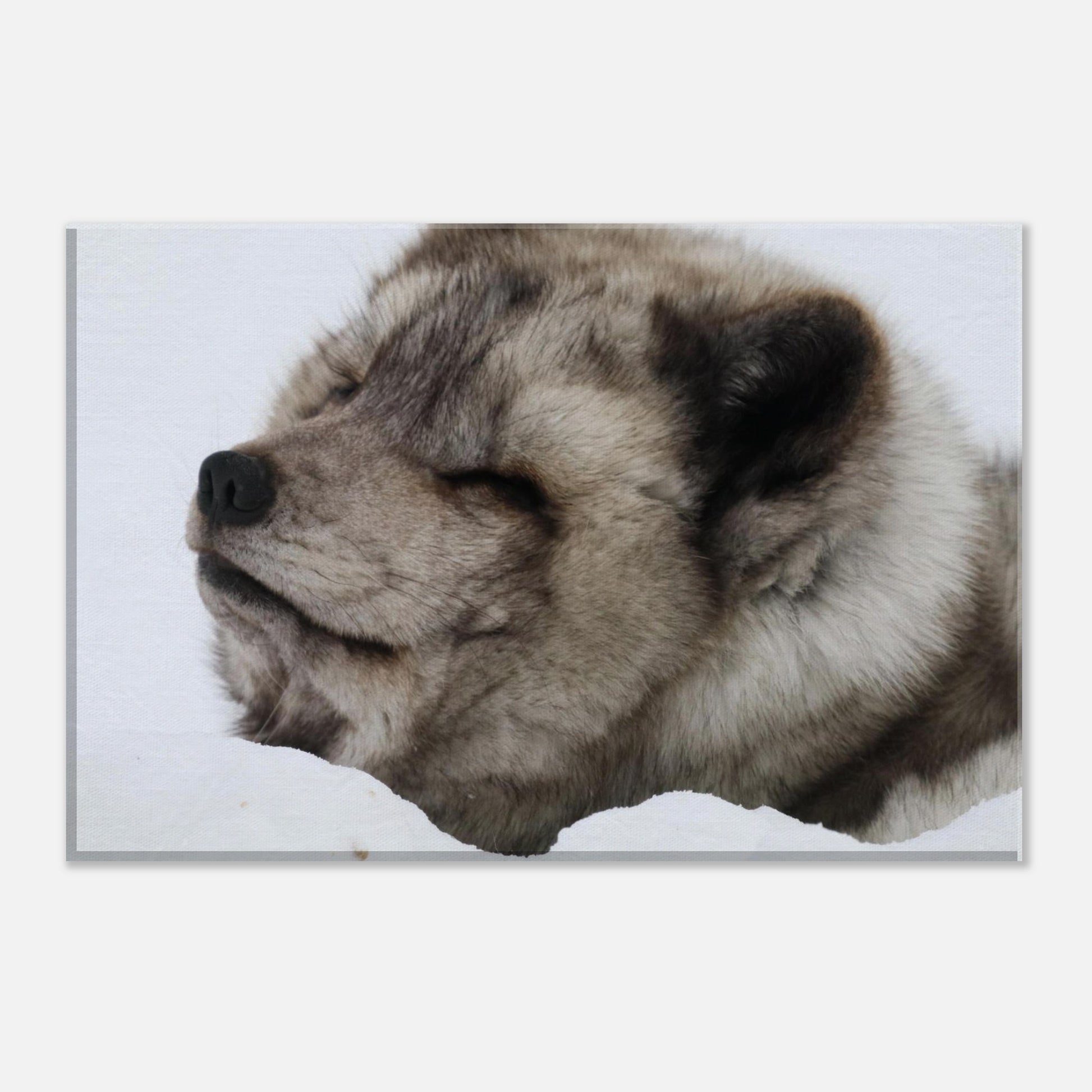 7bc544b9-7dcc-4151-a008-6e9d18493497