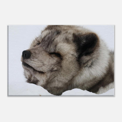 7bc544b9-7dcc-4151-a008-6e9d18493497