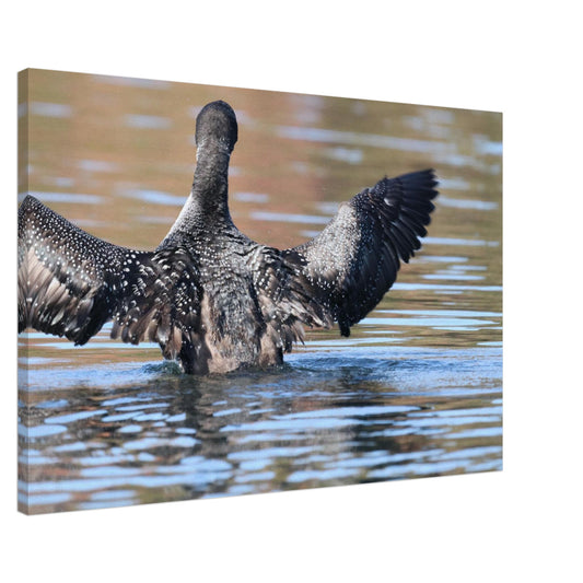 7c92dd8e-54ce-4ce8-a51e-5d3fcc94529a