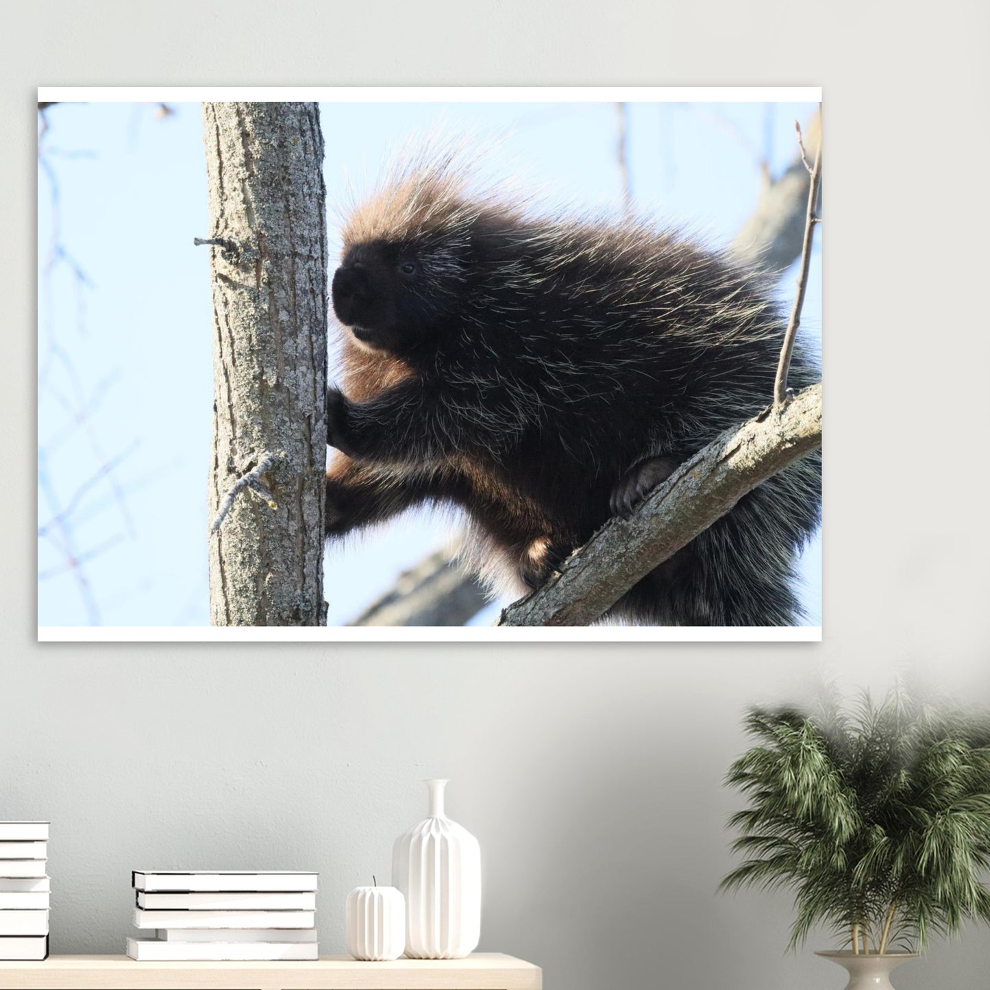 7caa68d0-1dc2-42e9-9c33-596053bef2fe