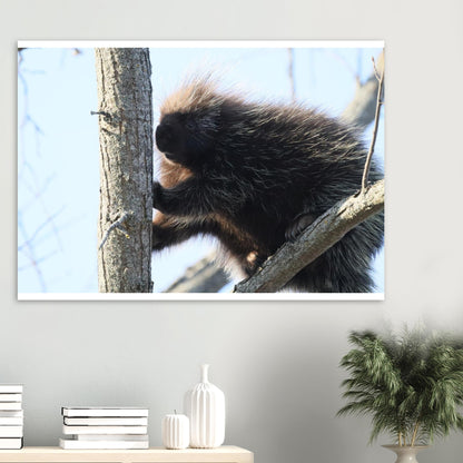 7caa68d0-1dc2-42e9-9c33-596053bef2fe