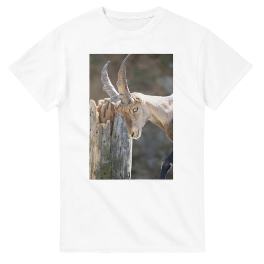7d13831b-8b87-46f7-b956-cfb0f74db887
