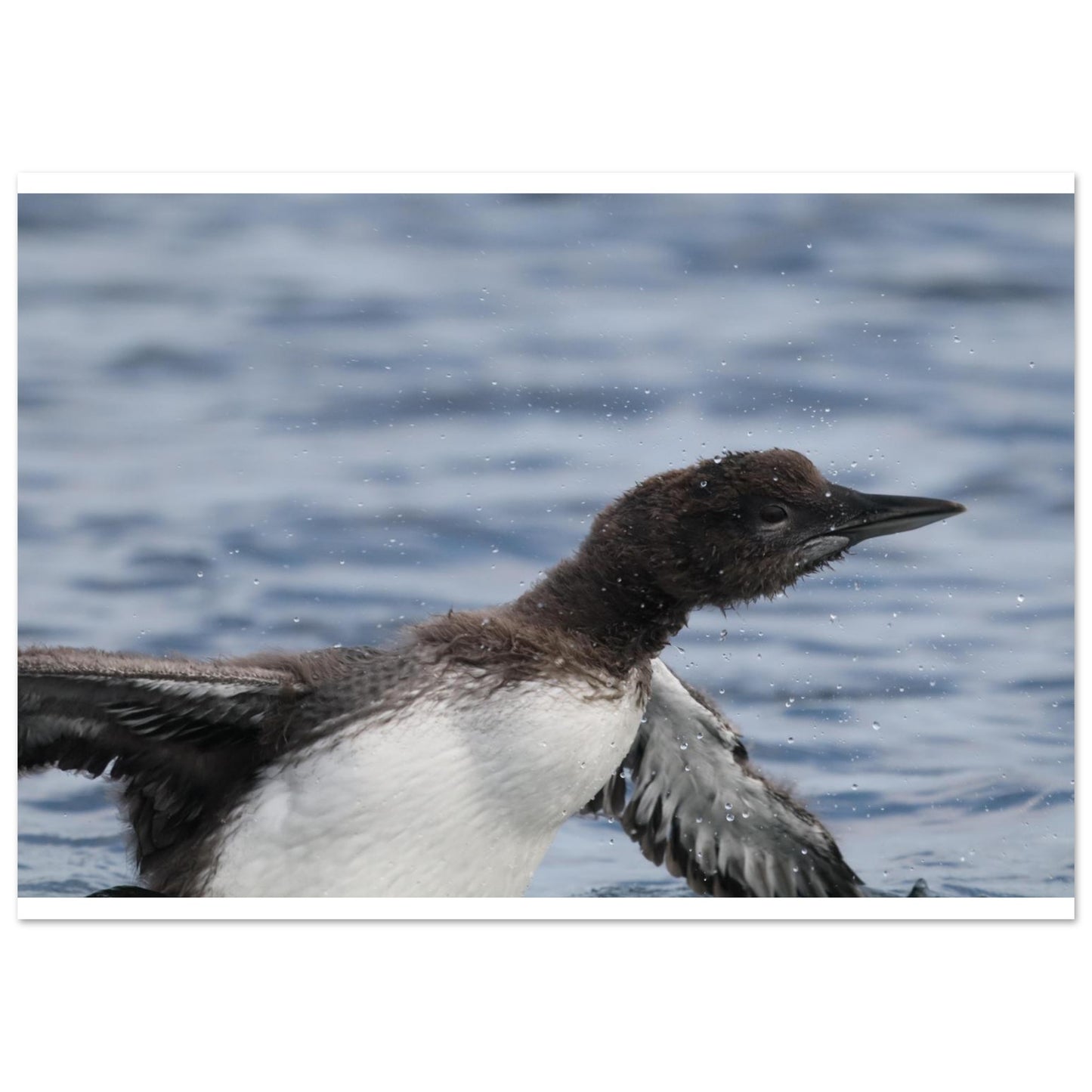 7d21753f-f1d8-4698-a4d1-b924694b8212