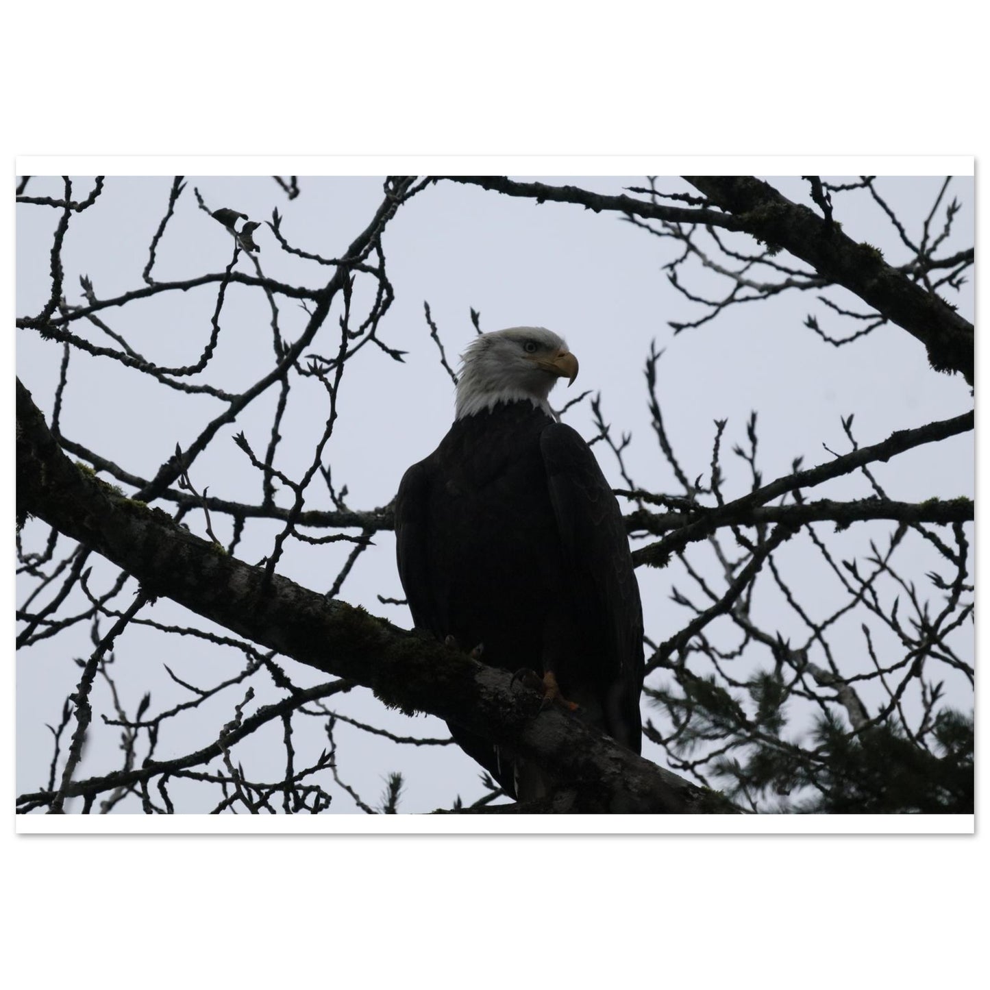 7d4564ce-0748-4d72-957d-a18249b9cd1c