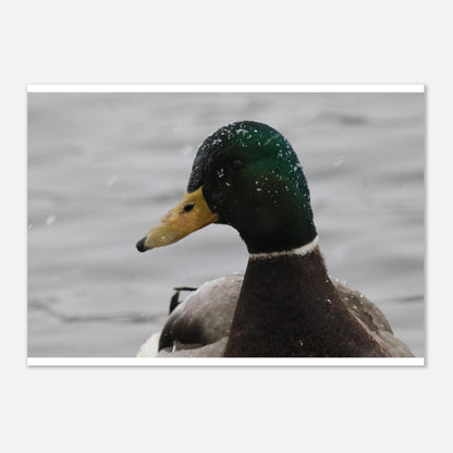 7e2b0e2e-d3b7-4d22-993a-ad477af994eb