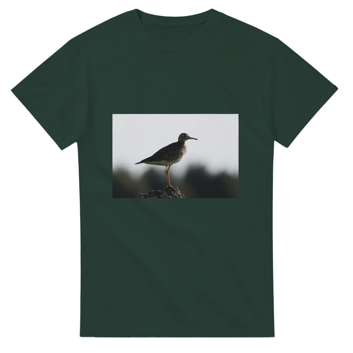 7ed3095a-8121-4909-850b-4eb841b0e05c