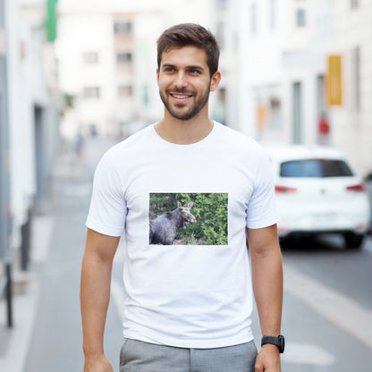 7f93cfc3-ab35-48d2-a058-16719342927b