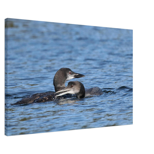 7ff049d3-9b28-4174-ba69-d45de3ceb9ab