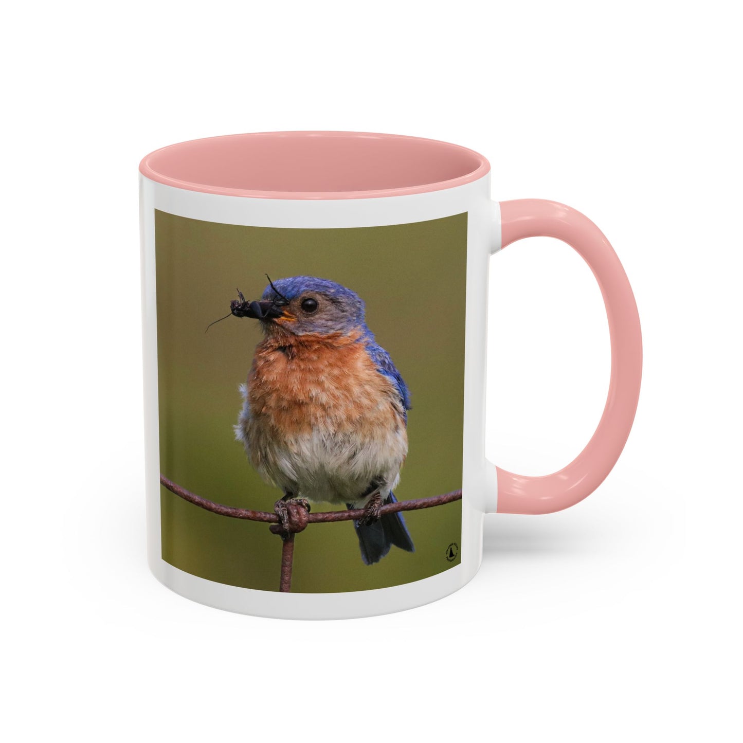 Bluebird Photo Coffee Mug — Eastern Bluebird with Insect Accent Mug (11/15 oz)
