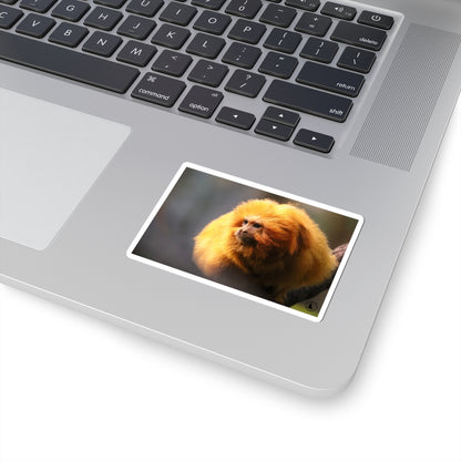 Golden Lion Tamarin Sticker — Cute Tropical Monkey Laptop Decal