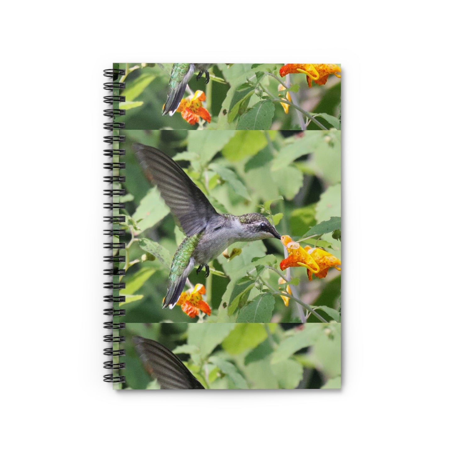 Hummingbird Floral Spiral Notebook — Ruled Journal for Nature Lovers