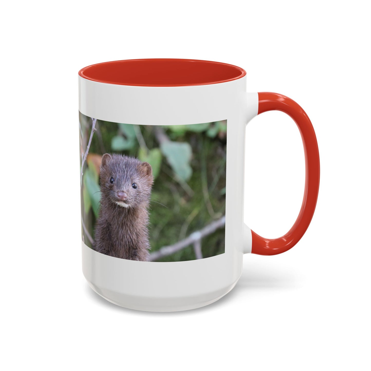Cute Mink Photo Accent Mug – Wildlife Photography Coffee Cup (11/15 oz)