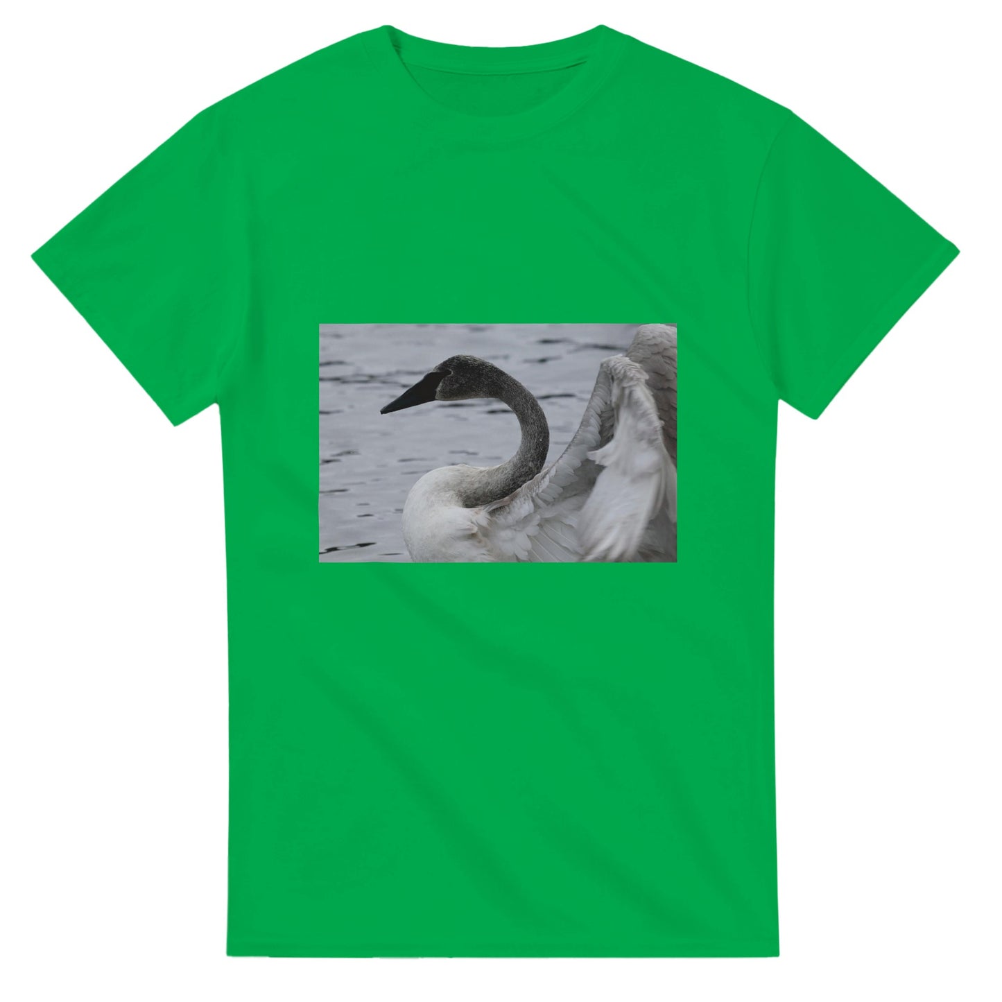 808f77f2-240b-4e0c-bb47-36c2b9c0dc23